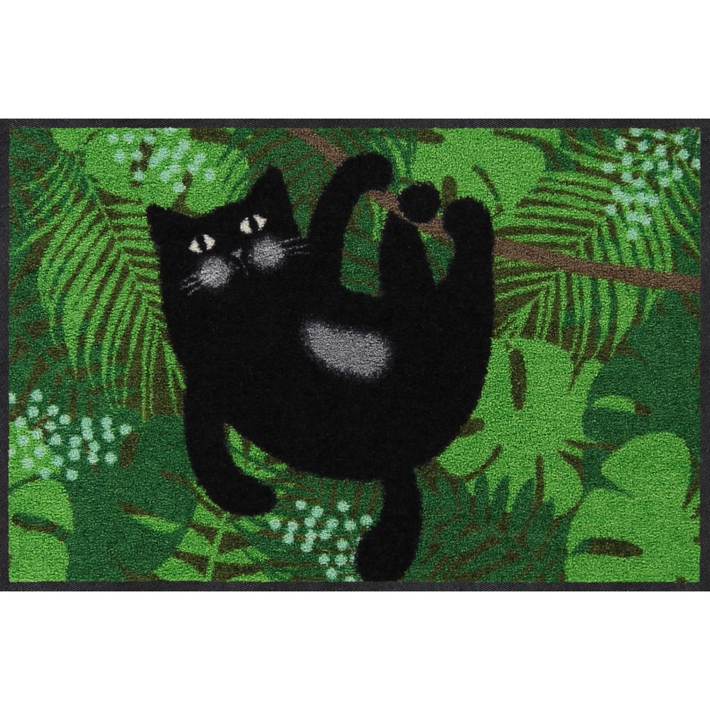 Chat de la jungle
