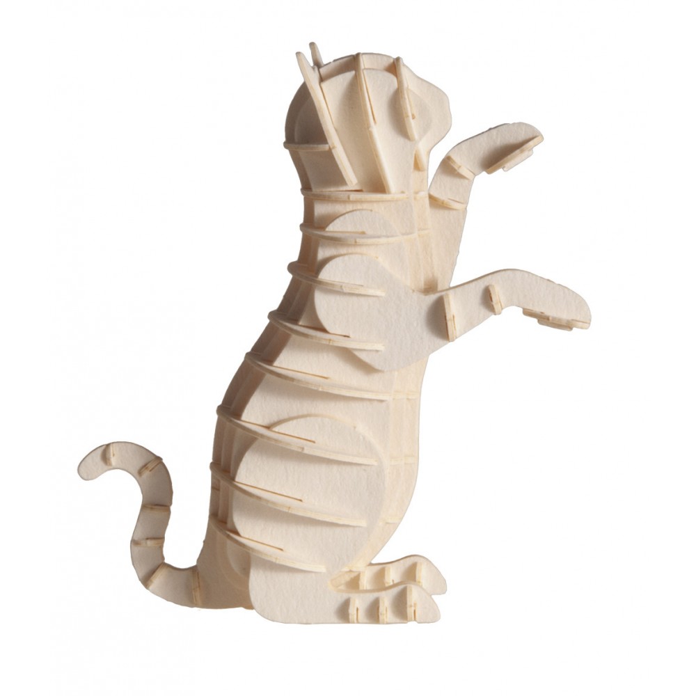 Chat 3D-Chat blanc