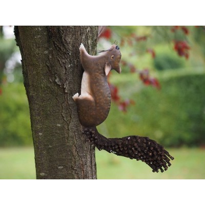 Ecureuil sur branche