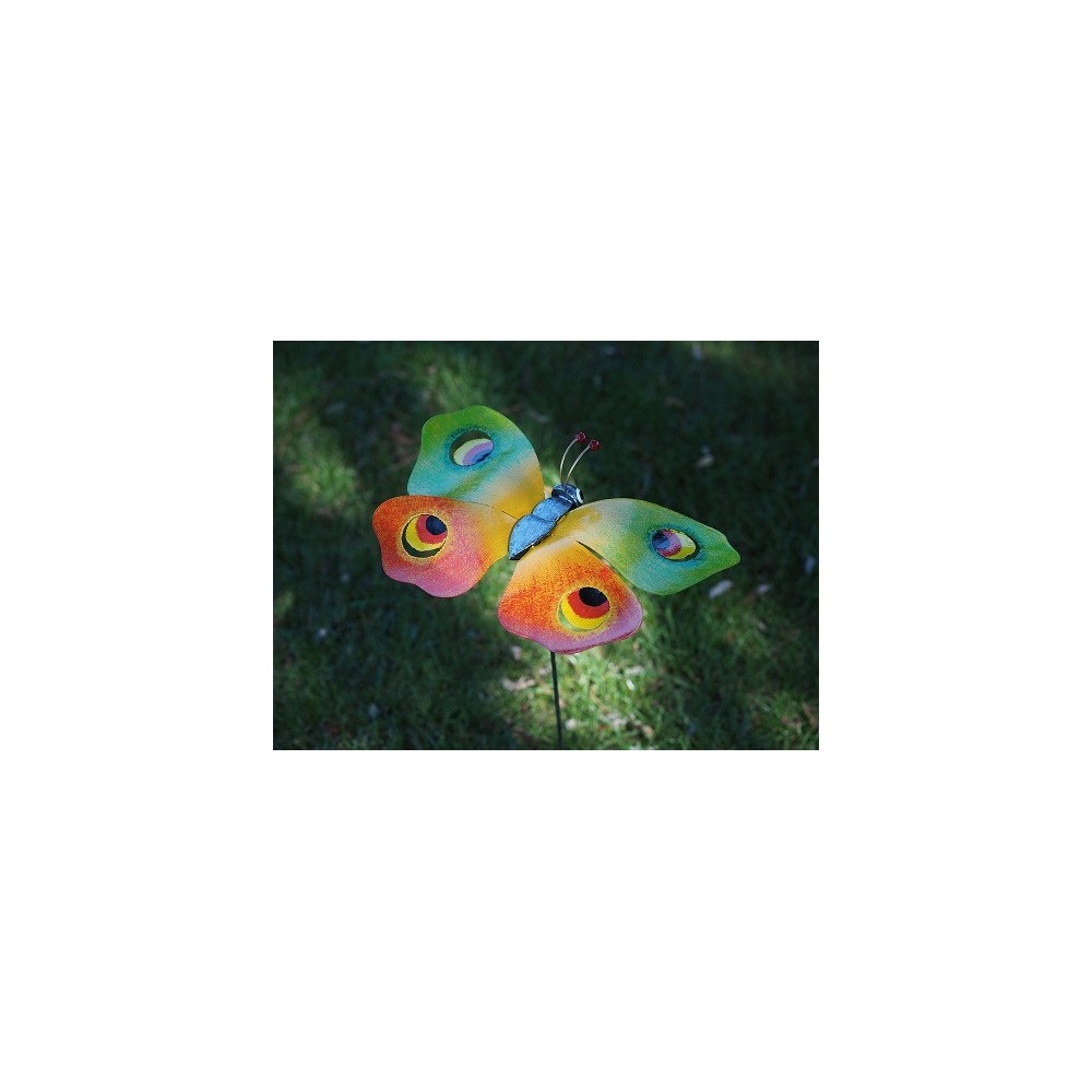 Papillon vert/orange Papillon vert/orange