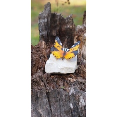 Papillon  coloré jaune sur pierre