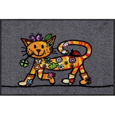 Funky cat