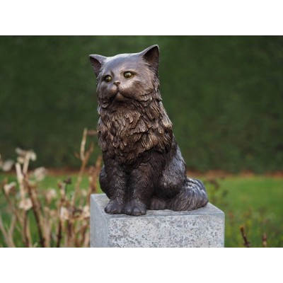 Chat Persan