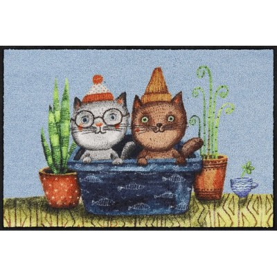Trouble -Cats